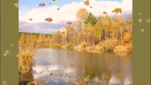 Листья желтые над городом кружатся. Дуэт Л+Л