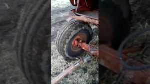 Покупка комбайна НИВА СК 5 м 1