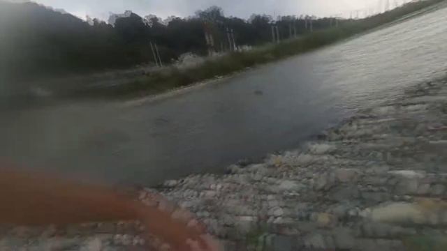 Наш неугомонный Гришка. смотреть онлайн