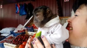 Шок на рынке Егорьевска.