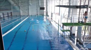 Соревнования по прыжкам в воду Севастополь 2018