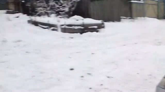 Видеонаблюдения на моей ферме , где взять и для чего это ! смотреть онлайн