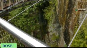 Amazing Capilano Suspension Bridge (Canada)