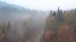 Нехотя бредя домой с похорон жены, вдовец услышал странный стук в заброшенном доме, а когда вытащил