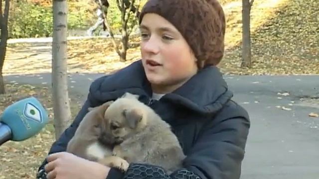 Не кусает, не лает, но отлова не избежит смотреть онлайн