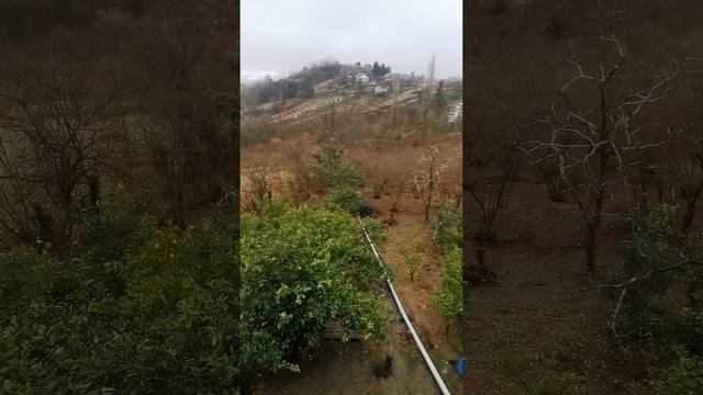 Дом 110 м2 и участок 70 соток в селе Мерия, Гурия, Грузия продается смотреть онлайн