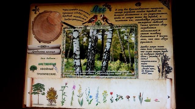 Летсплей " ЭЛЬФЫ И МАГИЯ ЛЕСА. Дневники Волшебника." смотреть онлайн