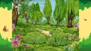 День в Шишкином Лесу. Кухня. Розы