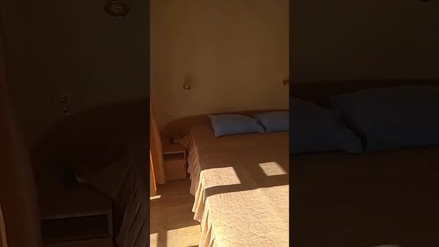 Багира в Канаке, 1-о комн, 3-х местн смотреть онлайн