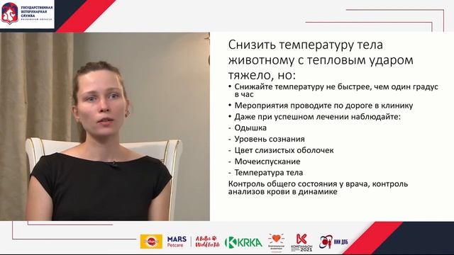8. Перегревы и переохлаждение животных. Первая помощь подопечному животному. смотреть онлайн
