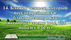 ВидеоБиблия Притчи Соломона с музыкой глава 28 читаем и слушаем