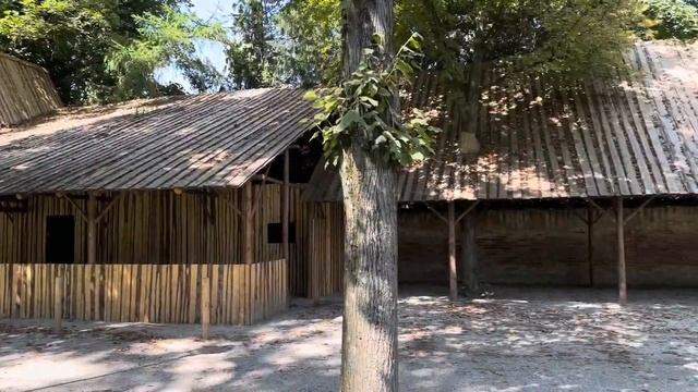 У меня радостная новость.Праздник в городе.Жара.Искупался в речке. смотреть онлайн