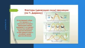 Видеолекция "Возникновение и развитие эволюционной теории Ч.Дарвина"