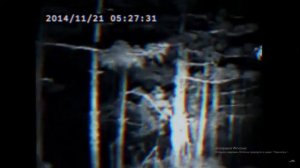 Смотрю scrimblo catalogue и local 58 потому-что я не знаю что это такое