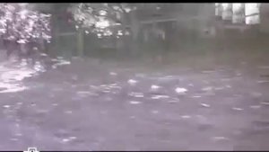 СОБАКИ НАПАДАЮТ НА ЛЮДЕЙ !!!! СОБАКИ НАГЛЫЕ И ЗЛЫЕ ТВАРИ !!!!