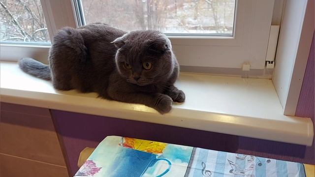 Домашние круассаны готовим быстро. Круассаны из слоеного-дрожжевого теста. смотреть онлайн