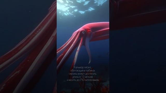 Удивительные факты | Часть 2 #факты #познавательно #удивительныефакты #интересныефакты