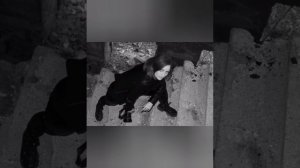 Мариупольский фотоклуб "Матрица" - ВОЗРОЖДЕНИЕ