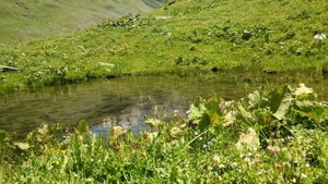 Долина Уштулу к леднику "Уштулу" Восточный