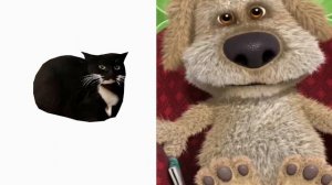 Maxwell the cat, but it's Ben's voice