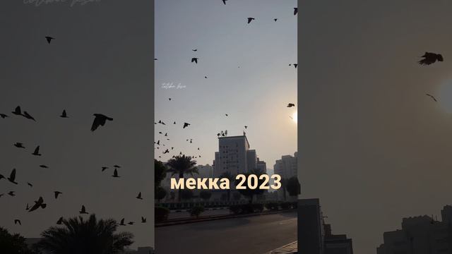 УМРА 2023 Мекка