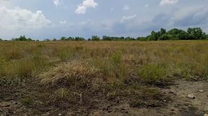 Обзор домика на дереве.