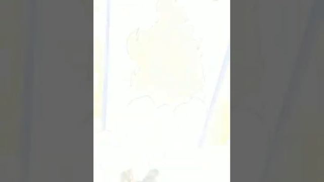 Лэпбук "Алтайцы", г. Северск - 2020 смотреть онлайн