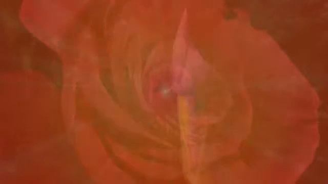 Видео- ЛИМФОГИМНАСТИКА - МЕДИТАЦИЯ "ПТИЦЫ и ЦВЕТЫ" смотреть онлайн