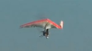 Анализ катастрофы дельталёта в Словакии