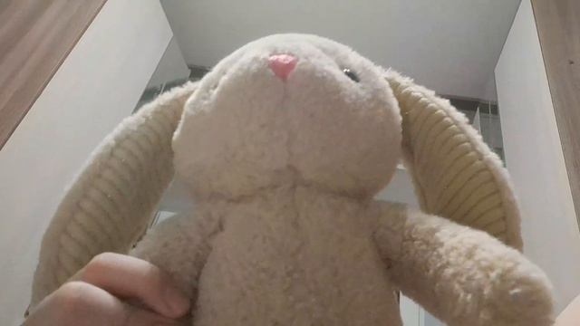 супер зайчик не могли делать новое видео завтра я сниму в 18:00 смотреть онлайн