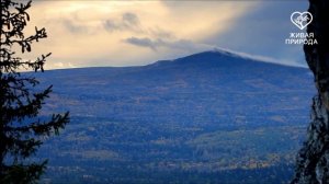 Хребет Еракташ. Южно-Уральский заповедник | South Ural Reserve, Russia