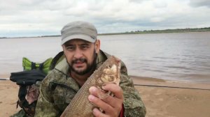 Поймал Язя на фидер.Река Обь.Оснастка Running rig