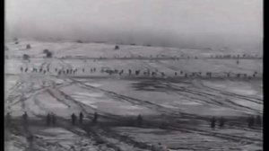 Високосный год. Журавли