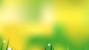 Отчет о летне оздоровительной работе