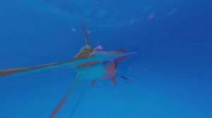 Акулы Убийцы, Самые Опасные Акулы в Мире! Акулы-Людоеды ТОП  16+