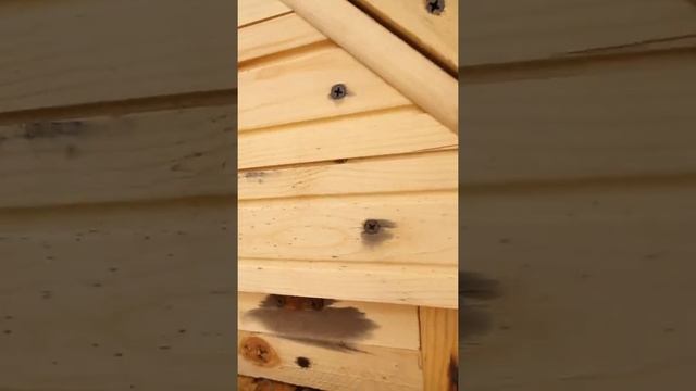 Копчение курицы горячего копчения в коптильном шкафу
