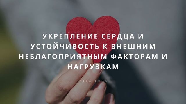 Настрой Сытина на укрепление и исцеление сердца. Читает автор метода