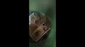Чистим лоток (накопитель для порошка) в стиральной машине