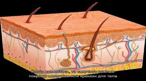 Массаж сухой щеткой: чем полезен, как делать, советы по выбору щетки, противопоказания
