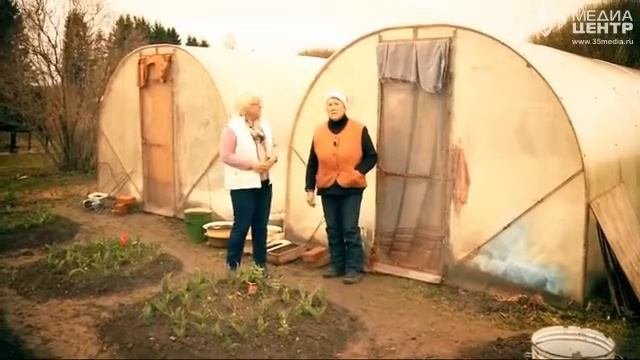 Дачные советы 18.05.17
