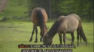 гаврил николаев