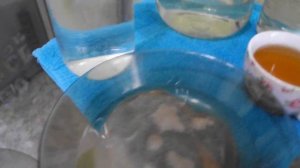 КАК приготовить лечебный НАПИТОК ИЗ ЧАЙНОГО ГРИБА комбуча Проверенный рецепт