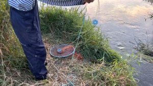 Ловля кастинговой сетью в Подмосковье