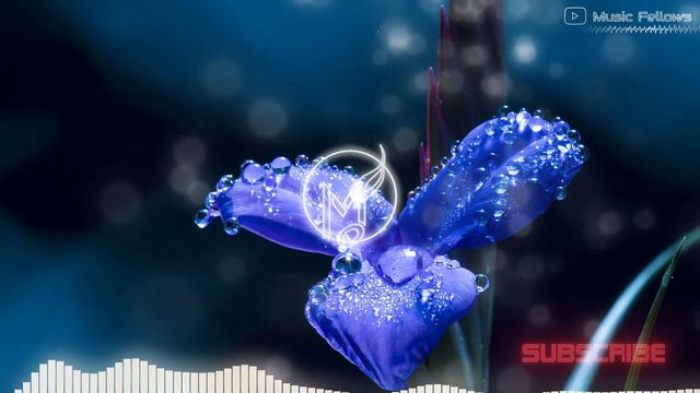 Spring Music 🌸 Flowers 🌸 Happy Piano Music [No Copyright Music] смотреть онлайн