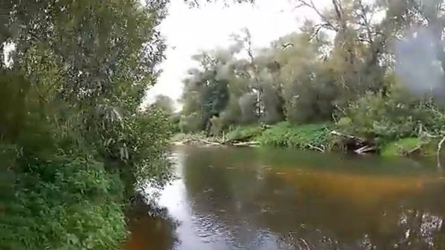 Нахллыст на Наре Пионерская зорька смотреть онлайн