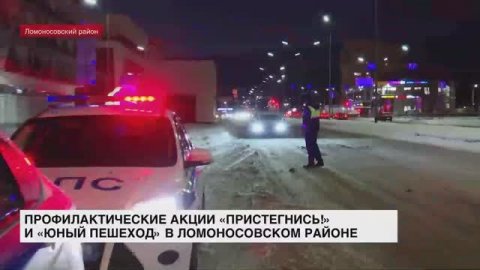 Профилактические акции «Пристегнись!» и «Юный пешеход» проходят в Ломоносовском районе