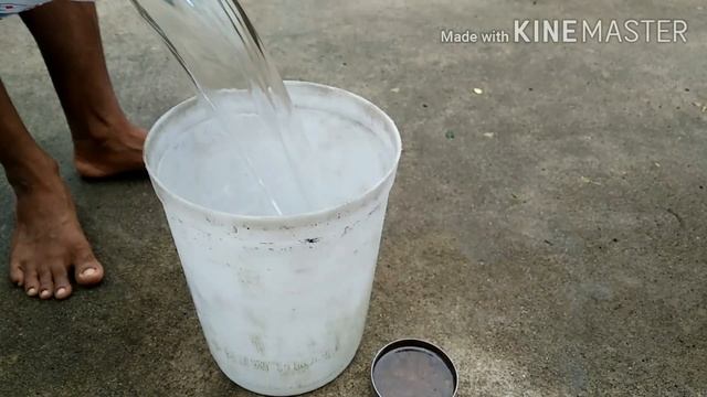 खेती में Trichoderma का प्रयोग Use Of TRICHODERMA Viride in Agriculture Organic Farming@Farmingidea смотреть онлайн