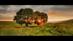 Есенин. Вот оно глупое счастье