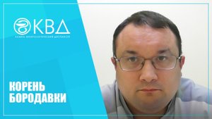 1258  Корень бородавки