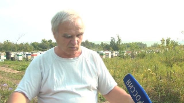 Пчеловоды Алтай смотреть онлайн